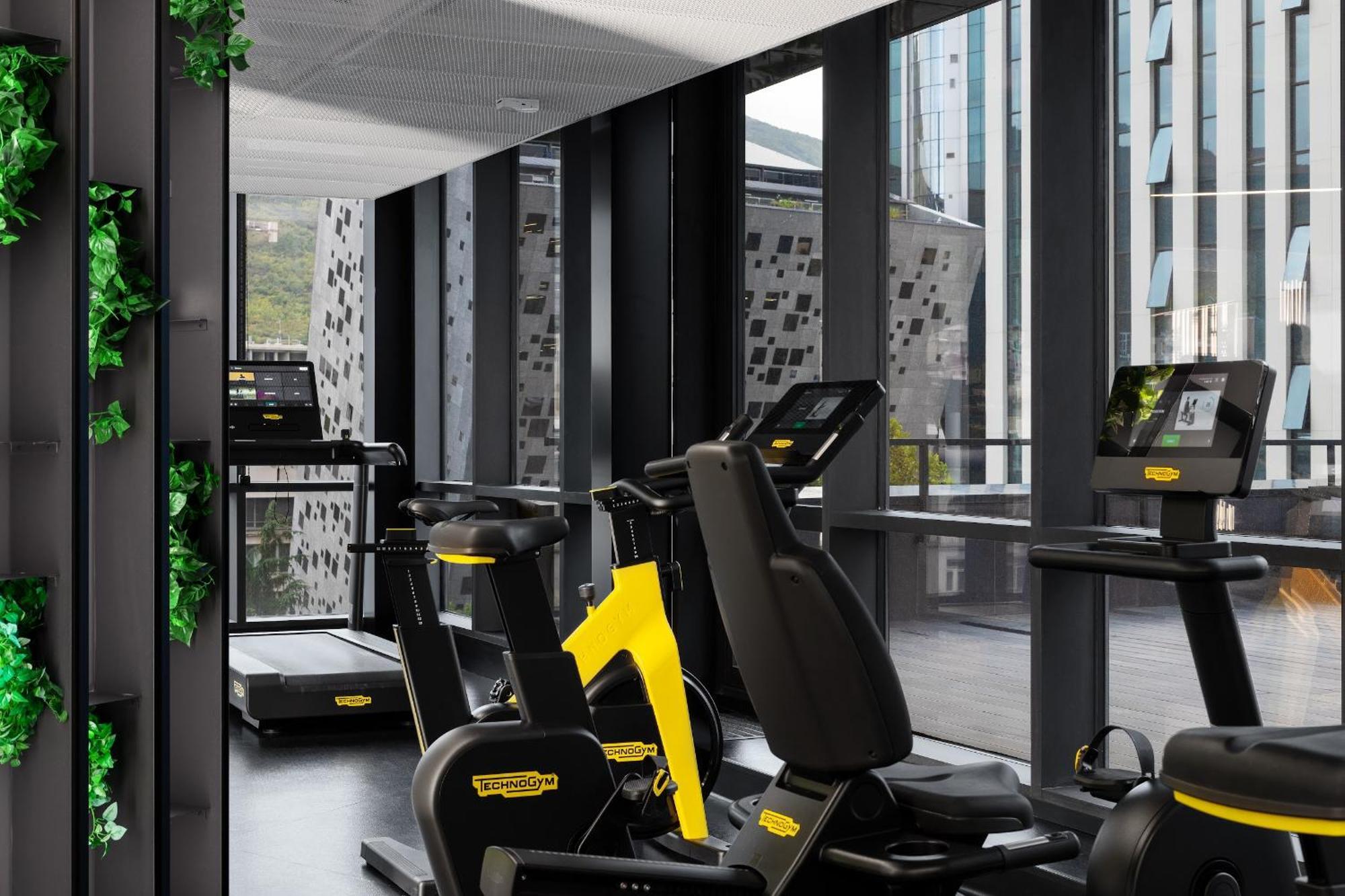 Pullman Axis Towers Hotel Tbilisi